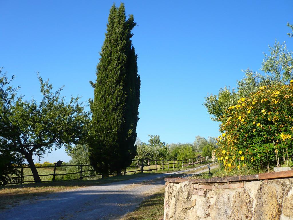 Podere Sionne Chiusi Exterior photo
