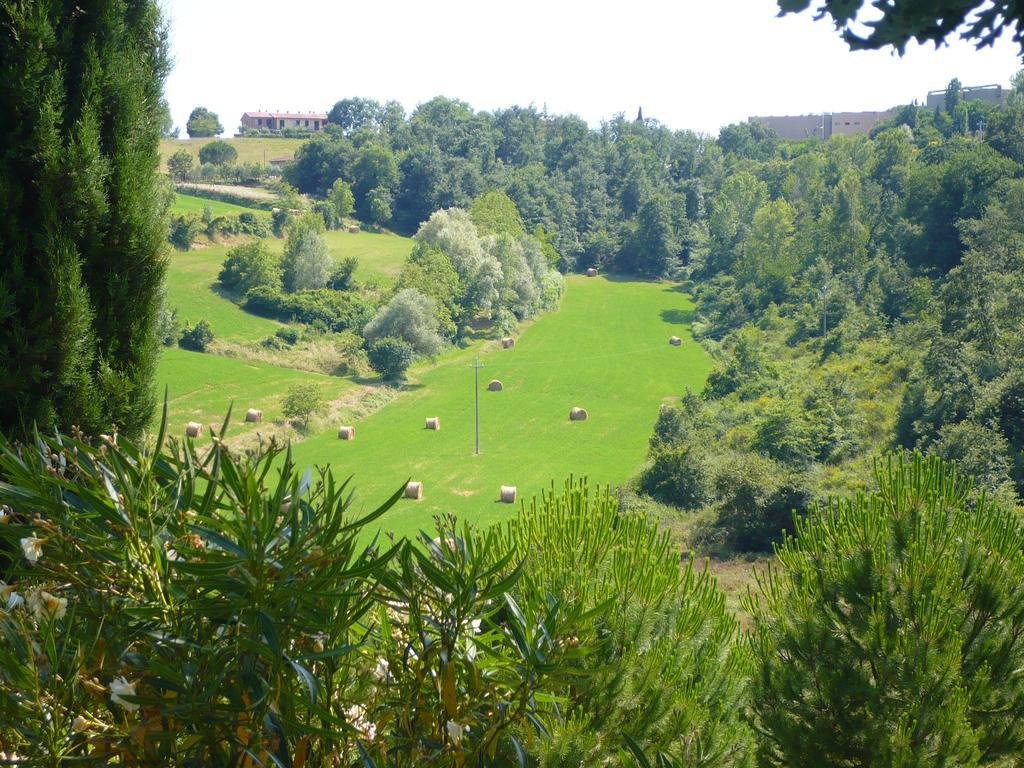 Podere Sionne Chiusi Exterior photo